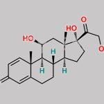 Prednisone EP Impurity B CAS#: 50-24-8