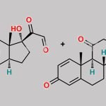 Prednisone EP Impurity C CAS#: 70522-55-3