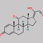 Prednisone Impurity 4 CAS#: 118724-35-9