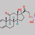 Prednisone Impurity 6 CAS#: 57099-40-8