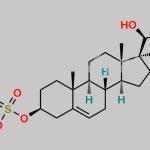 Progesterone Impurity 4 CAS#: 4857-40-3