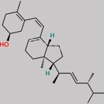 Previtamin D2 CAS#: 21307-05-1