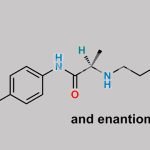 Prilocaine EP Impurity E CAS#: 744961-76-0