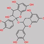 Procyanidin CAS#: 20347-71-1