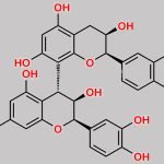 Procyanidin B2 CAS#: 29106-49-8