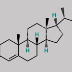 Progesterone Bisnoralcohol CAS#: 40736-33-2