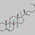 Progesterone Impurity 11 CAS#: 481-14-1