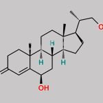 Progesterone Impurity 19 CAS#: N/A