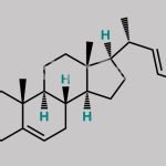 Progesterone Intermediate-1 CAS#: 83-48-7