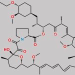 Prolyl Everolimus CAS#: N/A