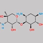 Gentamicin Impurity 2 CAS#: N/A