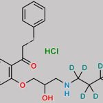 Propafenone D7 Hydrochloride CAS#: 1219799-06-0