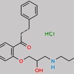 Propafenone Hydrochloride CAS#: 34183-22-7