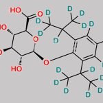 Propofol D17 b-D-Glucuronide CAS#: 1683581-05-6