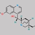 Quinine EP Impurity C CAS#: 522-66-7