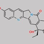(R)-10-Hydroxy Camptothecin CAS#: 647852-71-9