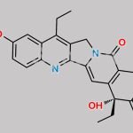 (R)-7-Ethyl-10-Hydroxy Camptothecin CAS#: 647852-82-2