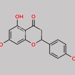 Rac Naringenin CAS#: 67604-48-2
