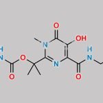 Raltegravir Impurity 14 CAS#: N/A
