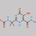 Raltegravir Impurity 15 CAS#: 519028-33-2