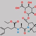 Ramipril Acyl-beta-D-glucuronide CAS#: 1357570-21-8