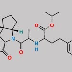 Ramipril EP Impurity B CAS#: 295328-72-2