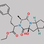Ramipril EP Impurity L CAS#: 1309040-96-7