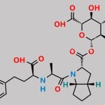 Ramiprilat Acyl Glucuronide CAS#: 1357570-22-9
