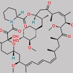 Rapamycin 18-O-Methyl Impurity CAS#: 159351-88-9