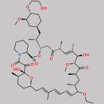 Rapamycin Impurity 6 CAS#: N/A