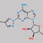 Regadenoson CAS#: 313348-27-5