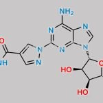 Regadenoson D3 CAS#: N/A