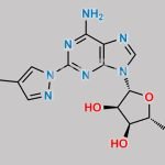 Regadenoson Impurity 6 CAS#: 313348-35-5
