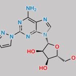 Regadenoson Impurity 7 CAS#: 1627202-38-3
