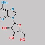 Regadenoson Impurity 9 CAS#: 1818-71-9