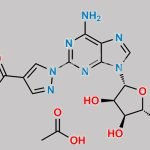 Regadenoson Impurity A (Acetate salt) CAS#: N/A