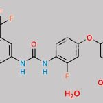Regorafenib Monohydrate CAS#: 1019206-88-2