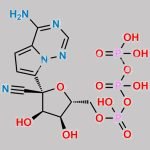 Remdesivir Metabolite GS-443902 CAS#: 1355149-45-9