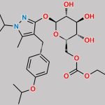 Remogliflozin Etabonate CAS#: 442201-24-3
