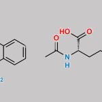 Repaglinide Impurity 9 CAS#: N/A