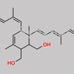 Retinol EP Impurity A CAS#: 22555-09-5