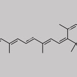 Retinol EP Impurity B CAS#: 1224-78-8