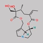 Retrorsine CAS#: 480-54-6