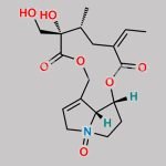 Retrorsine N-oxide CAS#: 15503-86-3