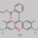 Rhodamine 6G CAS#: 989-38-8
