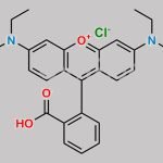 Rhodamine B CAS#: 81-88-9