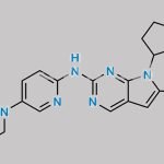 Ribociclib N,N-DiDesmethyl Metabolite CAS#: N/A