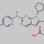 Ribociclib Succinate CAS#: 1374639-75-4