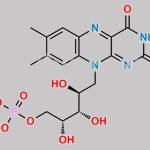 Riboflavin 5’-Monophosphate CAS#: 146-17-8
