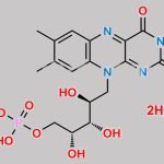 Riboflavin 5’-Monophosphate Sodium Salt Dihydrate CAS#: 6184-17-4